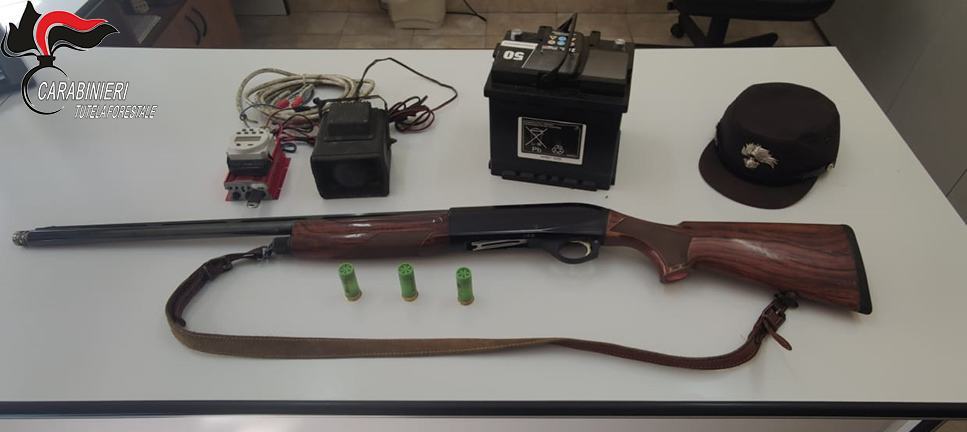 richiami vietati cacciatori carab forestali cs 01