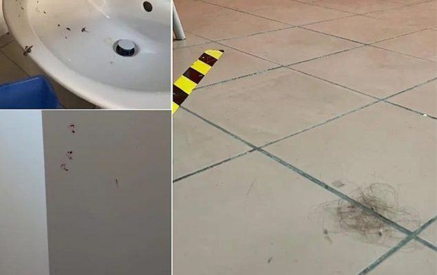 Cassano allo Ionio, la denuncia degli studenti sulle condizioni igienico-sanitarie del liceo 52 Liceo Cassano2