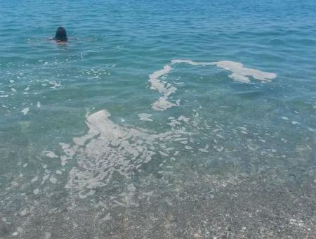 003d42982c0c34f9e7a1a8beba8ed3e4