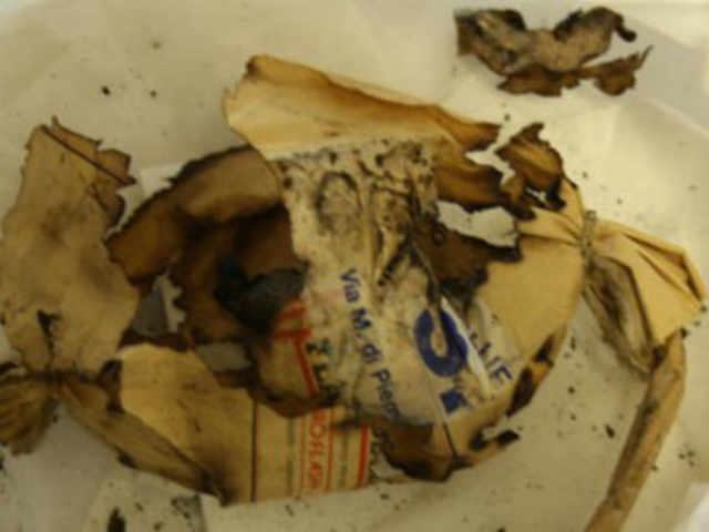 009e0adcb6cc33042e5312c1c70bf893