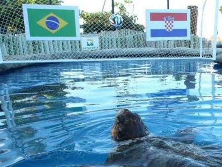 00f1c95d2621f129db377d45276d98a2