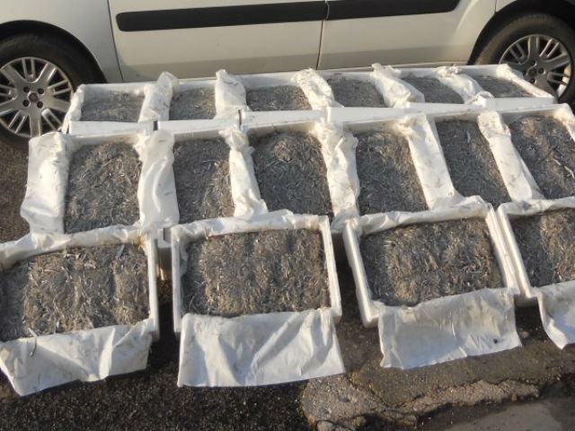 0139f23e91e1e4bff4b3138866bfd77a