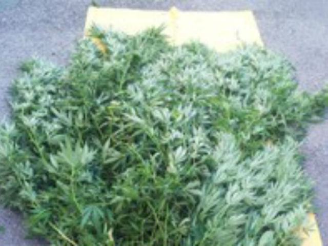 01eec10693d9896b4d757174d0f20dd9