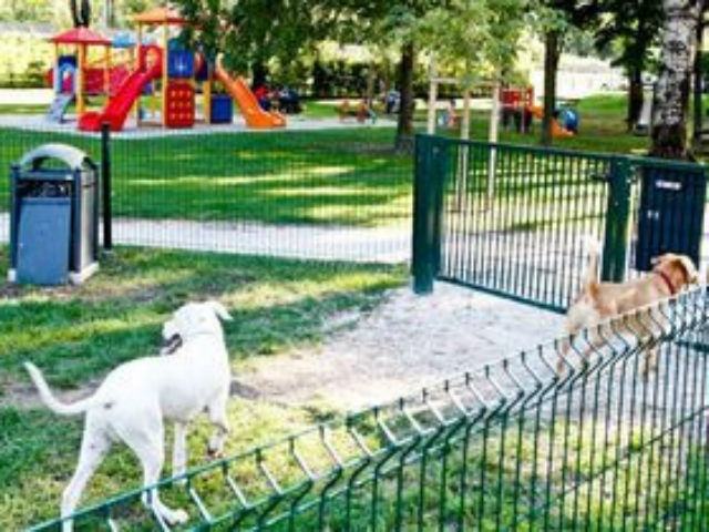 02ea55c1baf44dc32c274776b0b8753a