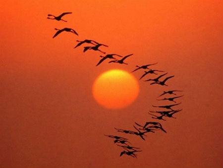 02f5ac5973b71e0d7322a5661a0ad4a2