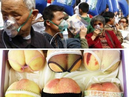 033eb81c761d903c0388e667eb639c8b