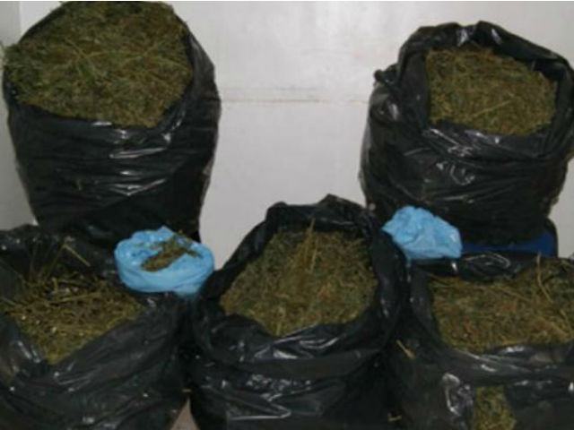 033ebd10fc2a9d1aba7e52c8768845ec