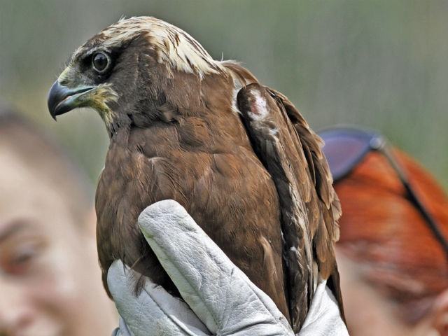 035befa29b114dadc76e55e09e679bb4