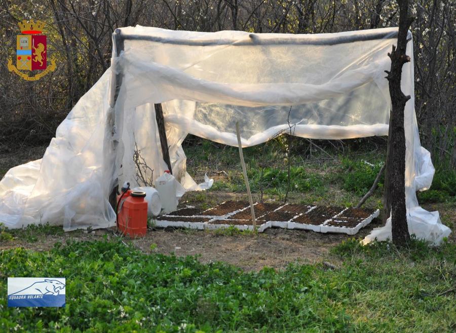 03e01ab3 0ab3 4c32 a615 0919b73e9926