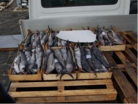 04854ffe7106dea291f5541f83835ad8