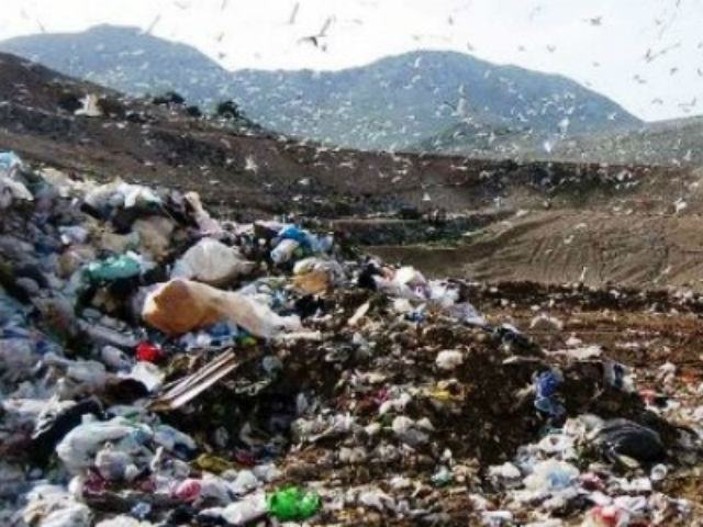 Celico, da stamattina ricomincia lo sversamento di rifiuti nel Parco Nazionale della Sila 68 04a8eabc11fc88b7aa2ff5d13438d427
