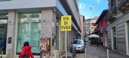 05006170 4401 488a a974 e9f11f6bb5eb