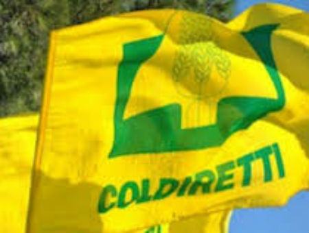 067f06dab40ee4bf6ba7e75194ed3d17