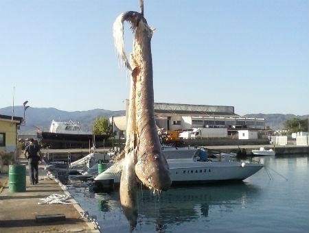 079dc4435713ae6f383c7cabe677545c