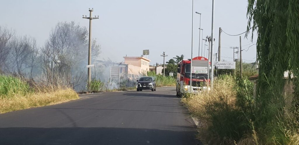 082d4ff0 3642 47a1 85bc 79da64be31d0