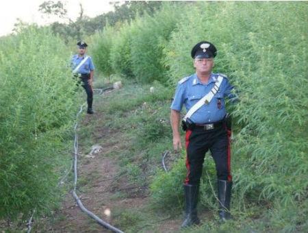 083c72246e597ff0d8ee28e5789b018e