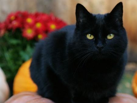 083d62006d584028740c74953bce3488