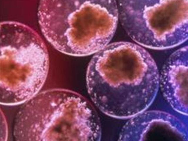 08f469abef87fd9a9295f128b6f07087