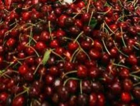 0957294f085a287d6abcd47c983e2cae