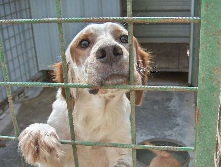 0cac100e109c25573877e21a5234f3fc