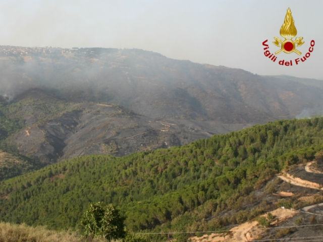 0d0b9768606906ecbede75ff1c429569