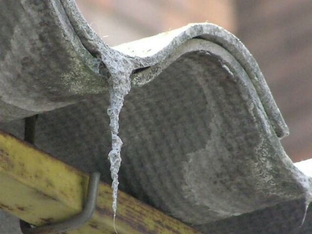 0d48b42d6e3e49ba473d41c06766da40