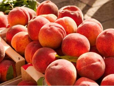 0d586cd49dda4e871b80a3c709329704