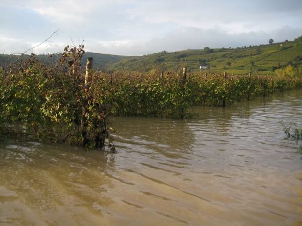 0dc61af8ca035edf28b4590f257cb11f