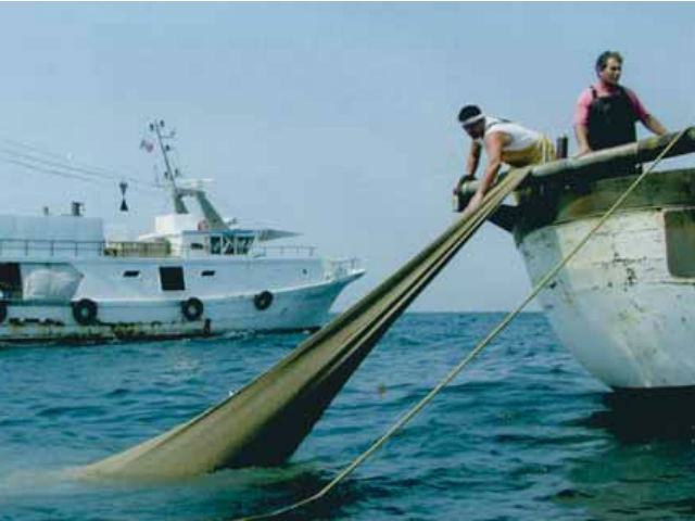 Finanziamenti europei per la pesca: richieste fino a Marzo 51 0dcb61b587daf6903830a00cc2e16f87