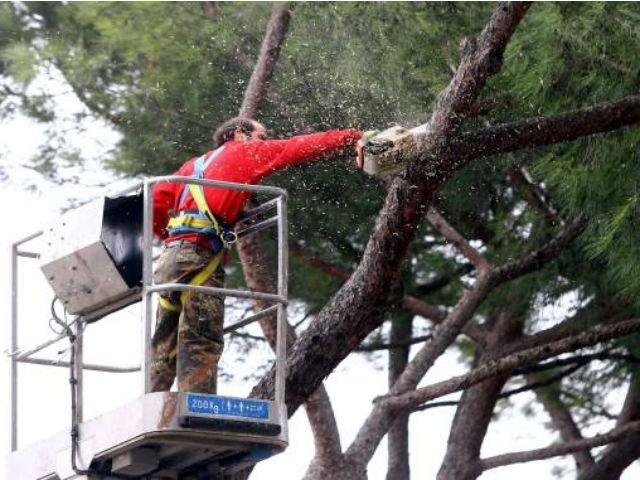 0dfea06ebf6dfa69db44ab87d12de51a