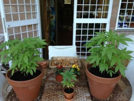 0e44ba0cd645a9cd2adbacc9103172f6