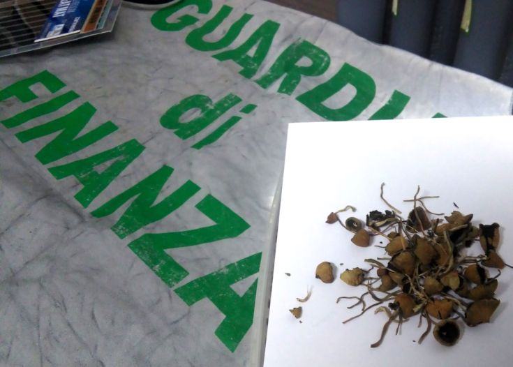 finanza funghi allucinogeni