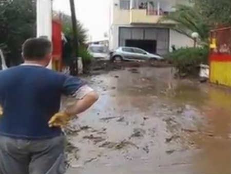 10ea9d3824272dfcca709970a4754b16