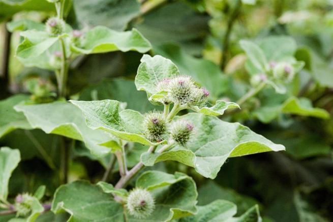 111e0dbc763b28a6064456c928a36abb