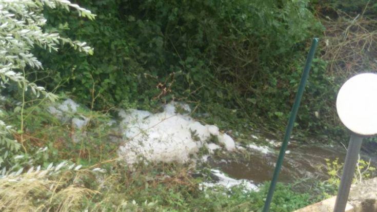 11220870 10206416086714861 1065599191521595433 n