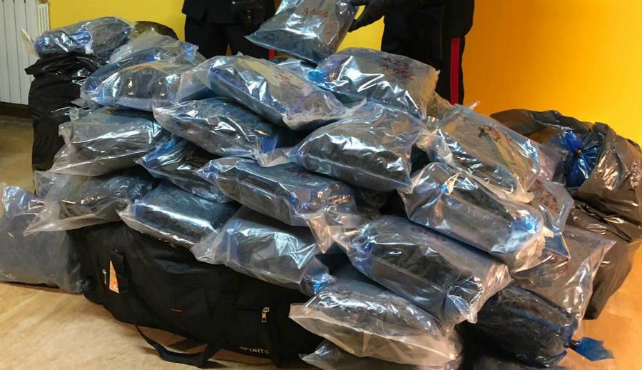 120 chili marijuana sequestrata 1