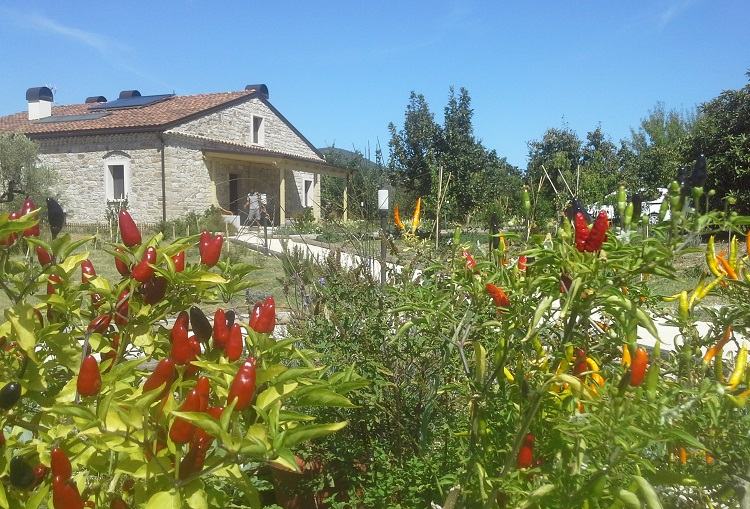 122016 750x509 Fattoria sociale Il Giardino dei Ciliegi Montemitro CB MOLISE Foto Maria Vasco© www.moliseinvita.it