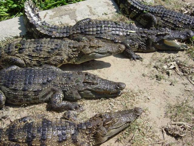 12dd26270235628ea9ee21ce5b38a75c