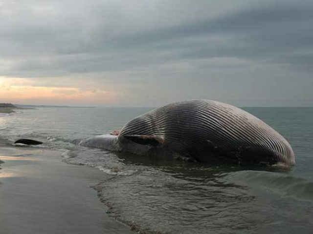 13e8c33fa46c4d037f59b756efb24c63