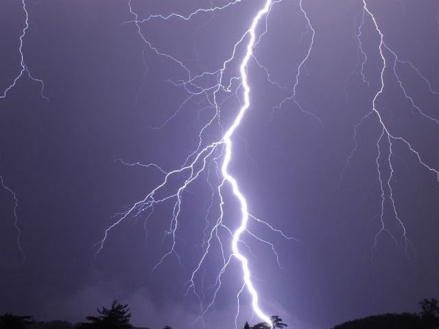 140800f06a83a38cc18f4df3ed9abedb