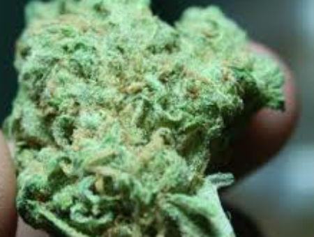 Droga, arrestato il gestore di un bar di Polistena 51 146a61d7eee4d88e94b21845e1c70e74