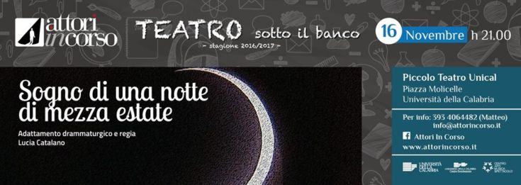 14900421 1124561270984983 6196996528973825922 n