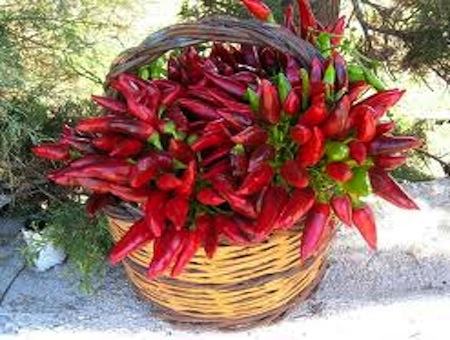 14dd4b06202398380cf1e6d85f5b3bff