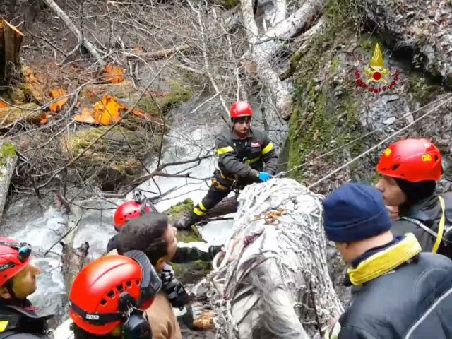 1533cf553036bc2b990042891565662f