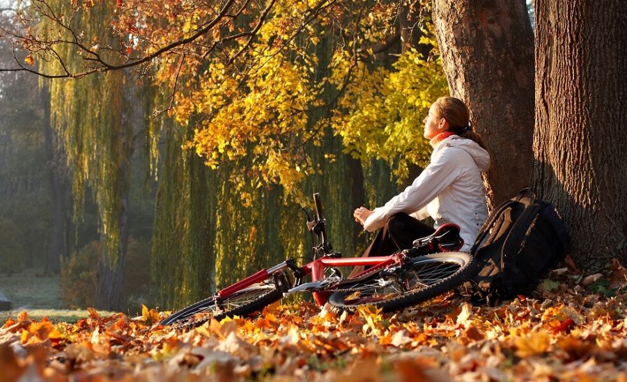 1566486343125383bafaadabef0a410cc0e2acff02