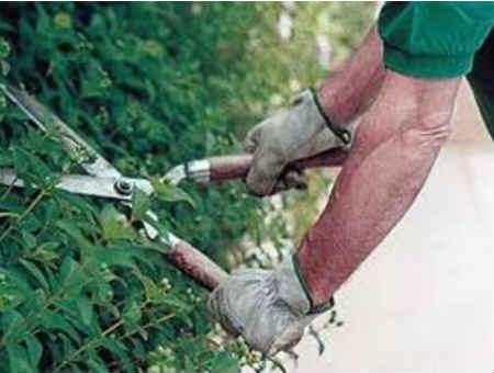 159cbf4731f9f10f0ddef09a9bf0f456