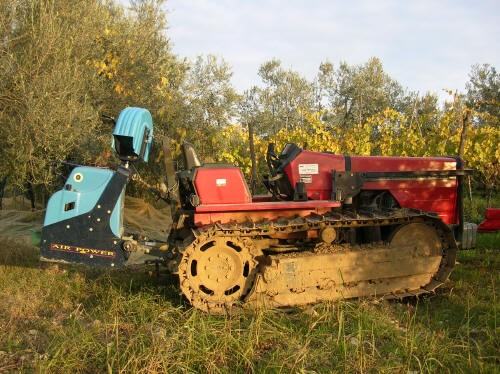 Incidente sul lavoro nel Vibonese, operaio schiacciato da un trattore mentre raccoglie olive 202 171 immagine 03