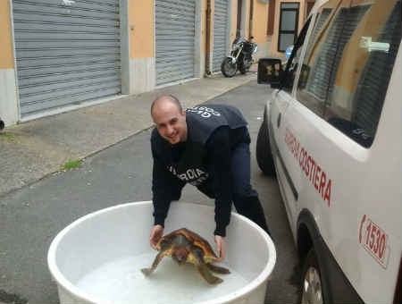 176fc8920c93fbd45b4b59261d5f5ddf