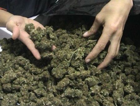 1781b0f0b0cdc94e32135ec4bf802ad0