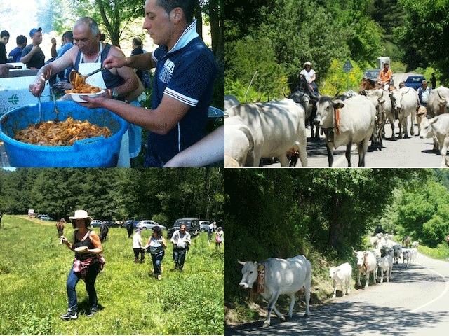 17f3070b07734f3fd6a6630012d6f5e9